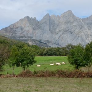 PICOS DE EUROPA EN BTT.  MACIZO DE ÁNDARA